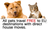 All pets travel free to EU destinations with direct house moves